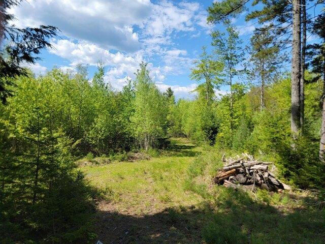 Land for sale in Appleton, Maine