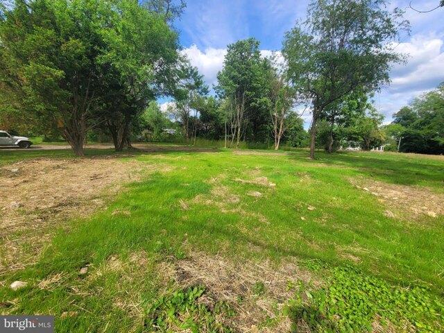 Land for sale in Elkton