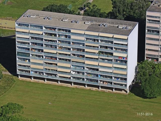 Wohnung mieten in Meyrin