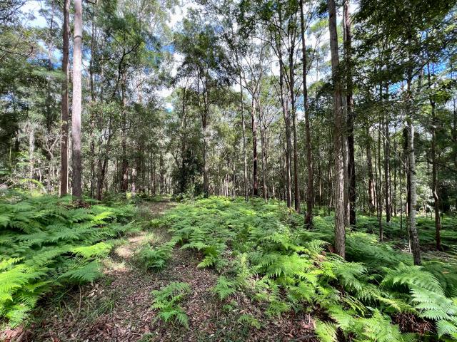 Property for sale in Kings Creek, Queensland