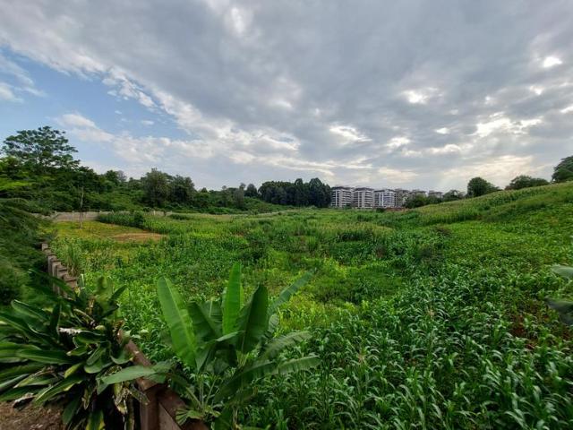 Land for sale in Nyari, Kiambu