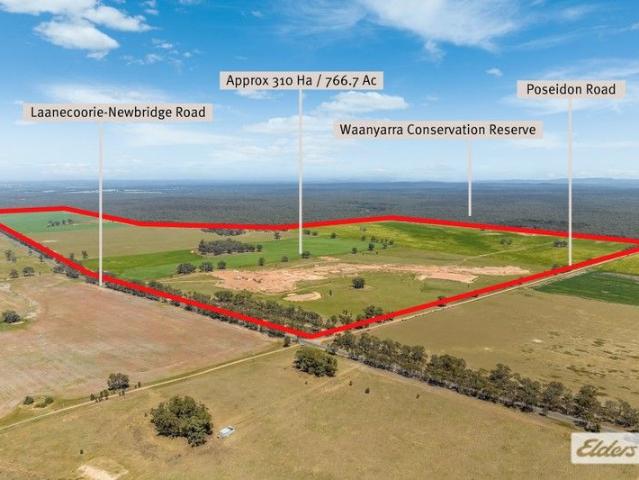 Land for sale in Newbridge, Victoria