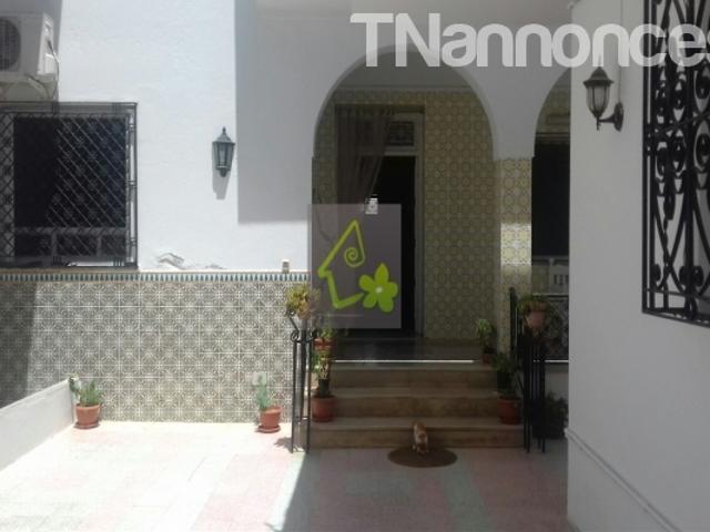Appartement vente