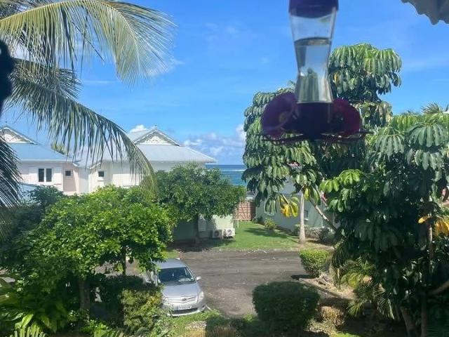 Appartement vente à Guadeloupe