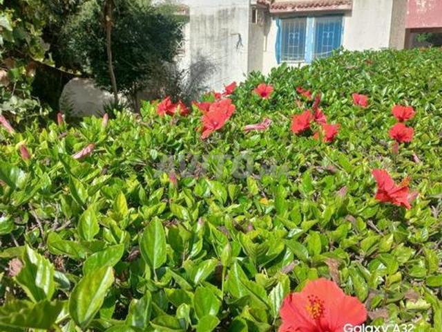 Appartement vente à Rbat