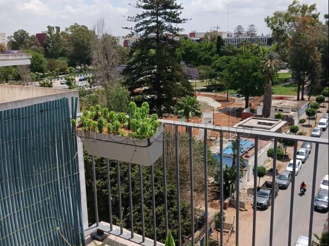 Appartement vente à Lyautey