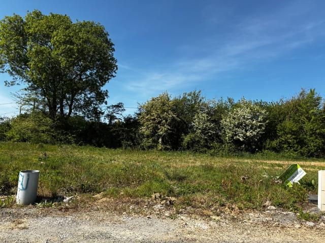 Terrain vente à La Roche-sur-Yon, Apremont