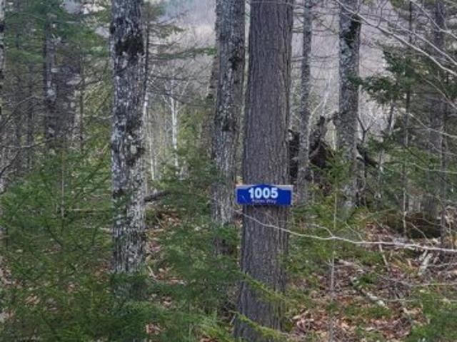 Land for sale in Maine