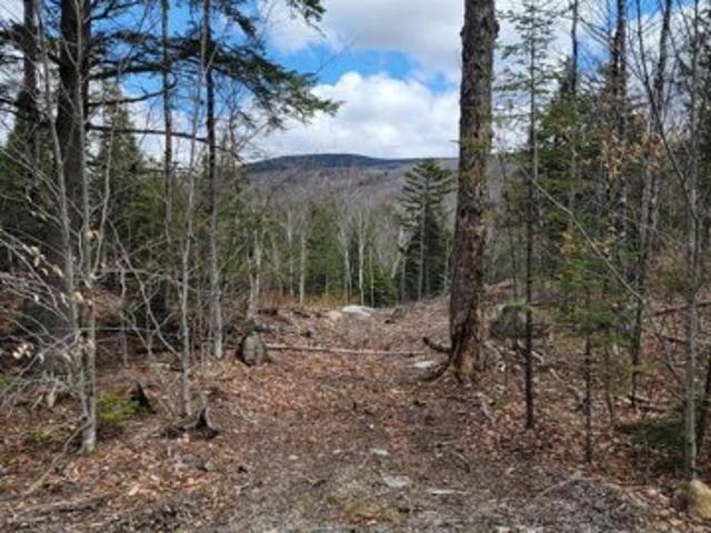 Land for sale in Maine