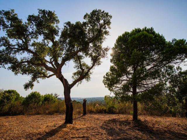 Vivenda venda em Grândola, Setúbal