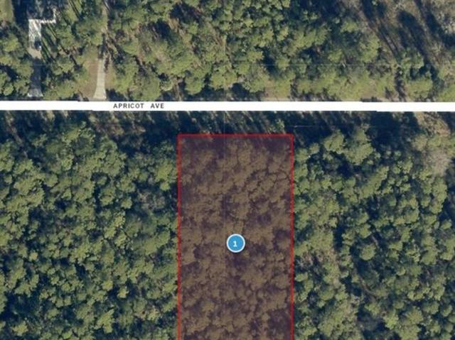 Land for sale in Eustis, Lake County
