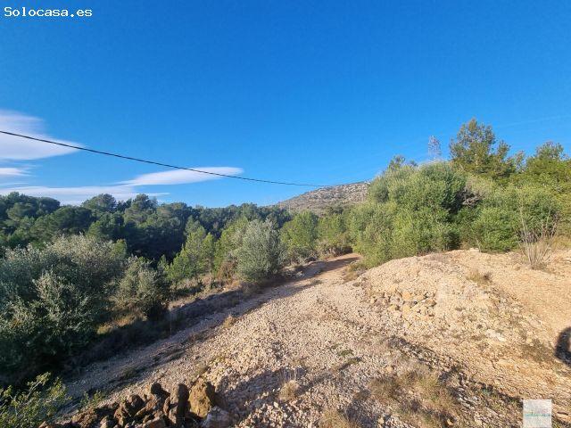 Local Comercial en venta en Baix Ebre, Catalunya