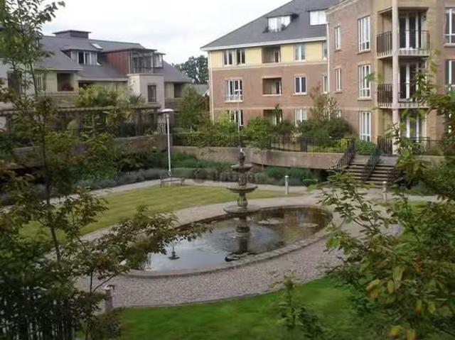 Apartment to rent