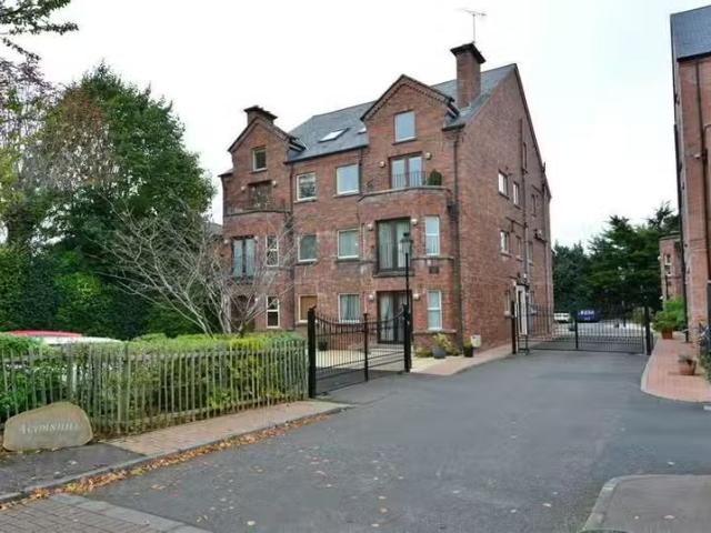 Apartment to rent
