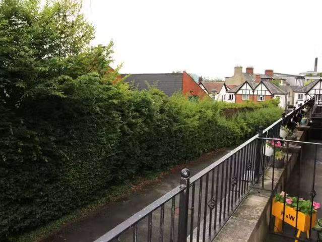Apartment to rent