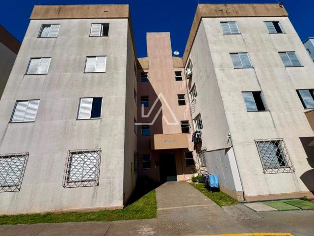 Apartamento aluguel em Região Geográfica Imediata de Passo Fundo, Passo Fundo