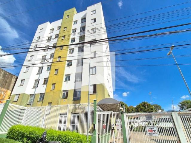 Apartamento aluguel em Campo Grande, Campinas
