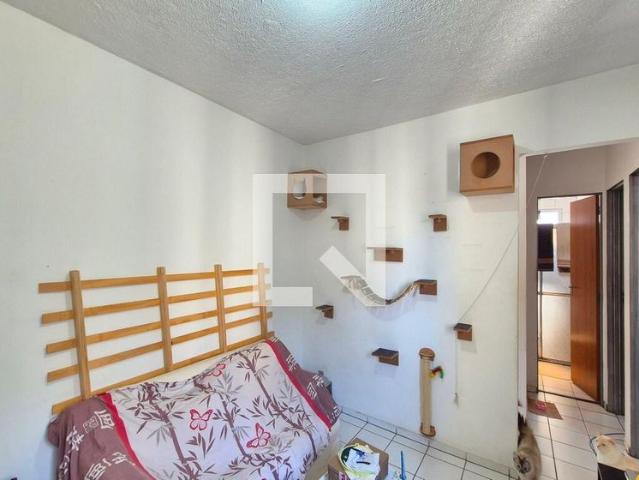 Apartamento aluguel em Região Imediata de Campinas, Região Metropolitana de Campinas