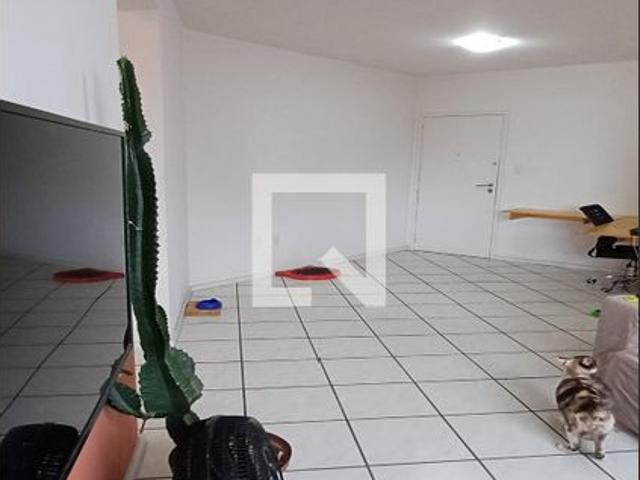 Apartamento aluguel em Região Geográfica Imediata de Florianópolis, São José