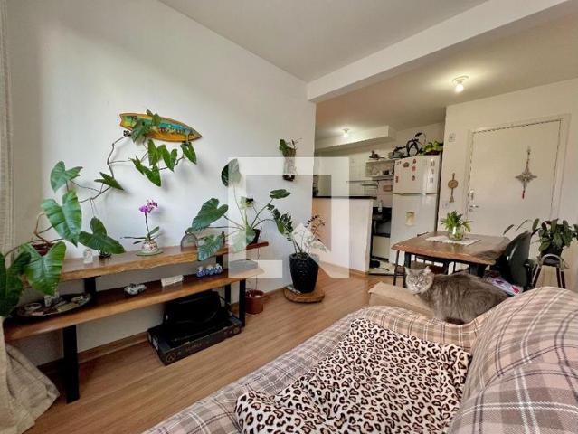 Apartamento aluguel em Região Geográfica Imediata de Juiz de Fora, Juiz de Fora