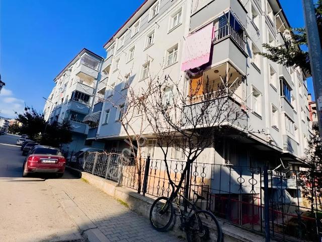 Tokat Merkez, Tokat içerisinde kiralık mülk