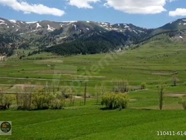 Uzundere, Erzurum içerisinde satılık Arsa
