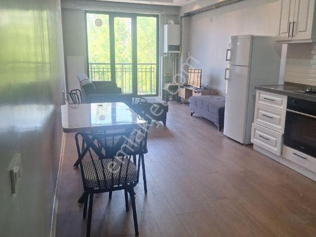 Balikesir içerisinde kiralık mülk