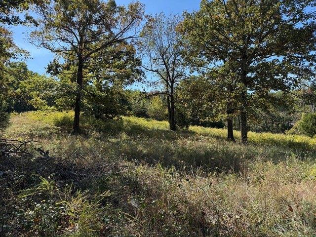 Land for sale in Cave City, Sharp County