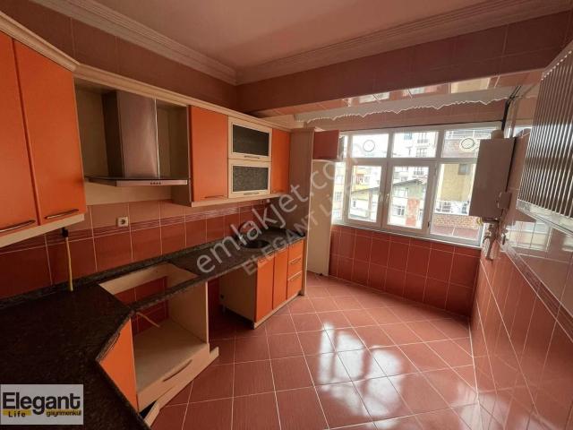 Rize içerisinde kiralık mülk