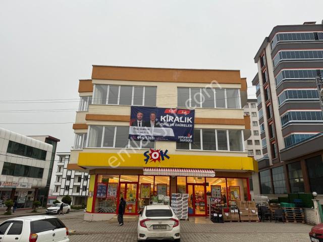İlkadim, Samsun içerisinde kiralık mülk