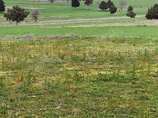 Burdur Merkez, Burdur içerisinde satılık Arsa
