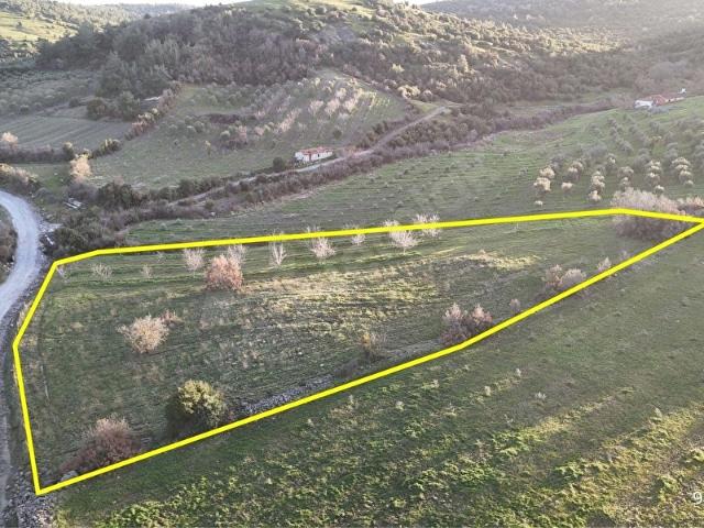 Arabacı Bozköy, Akhisar içerisinde satılık Arsa