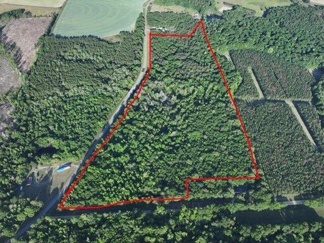 Land for sale in Arabi, Georgia
