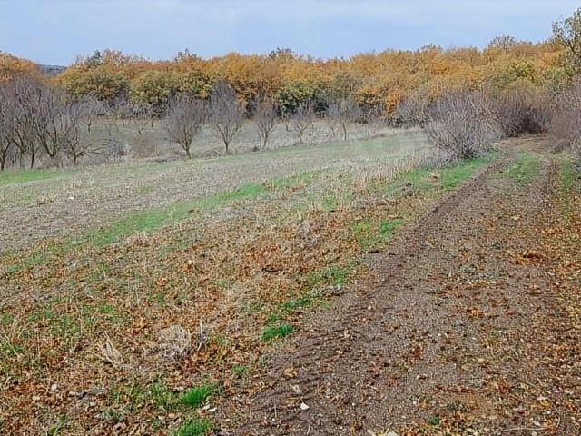 Sinekçi, Biga içerisinde satılık Arsa