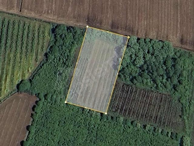 Çarşamba, Samsun içerisinde satılık Arsa