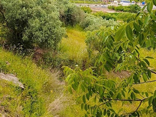 Selçuk, İzmir içerisinde satılık Arsa