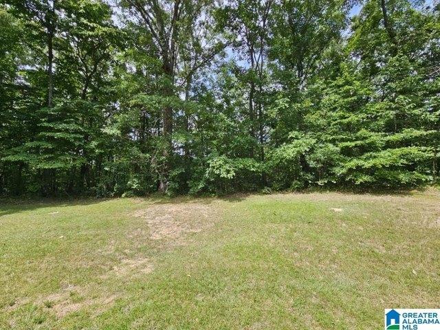 Land for sale in Odenville, Alabama
