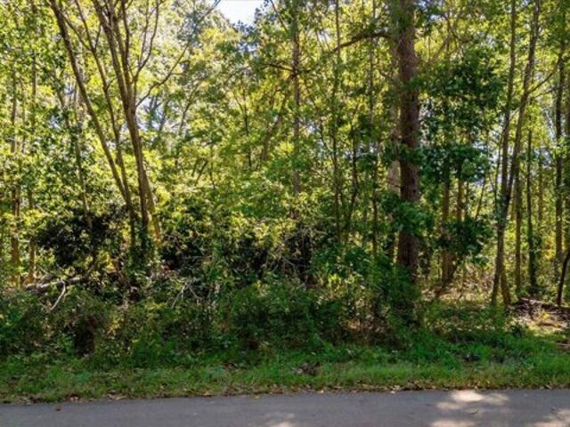Land for sale in Piedmont