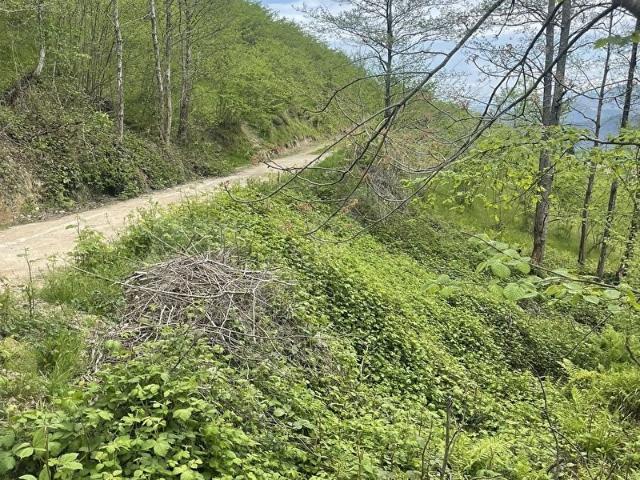 Arakli, Trabzon içerisinde satılık mülk