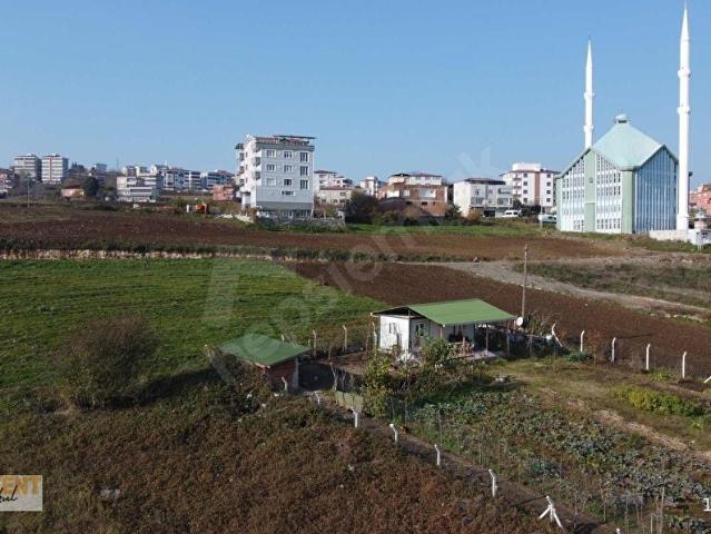 İlkadim, Samsun içerisinde satılık Arsa