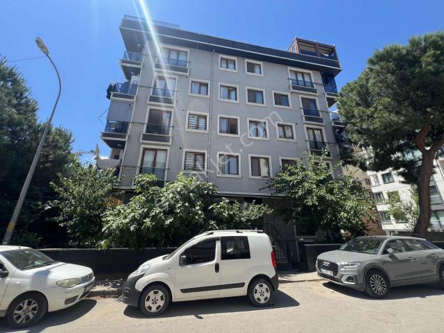 Kartal, İstanbul içerisinde kiralık mülk