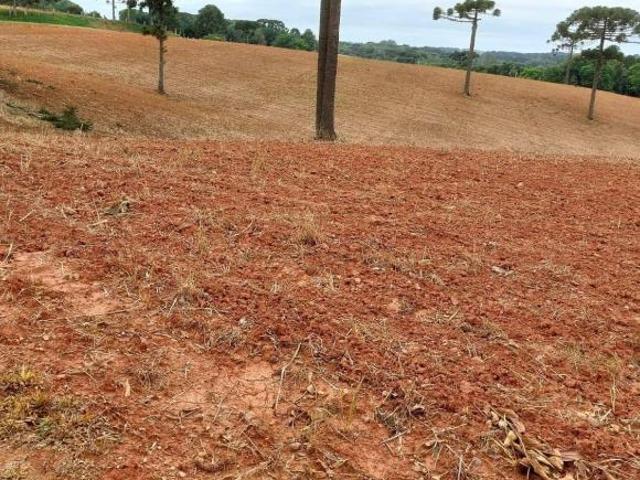Sitio venda em Araucaria