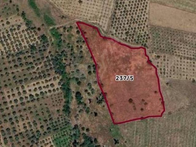 Derebaşı Mahallesi, Tire içerisinde satılık Arsa