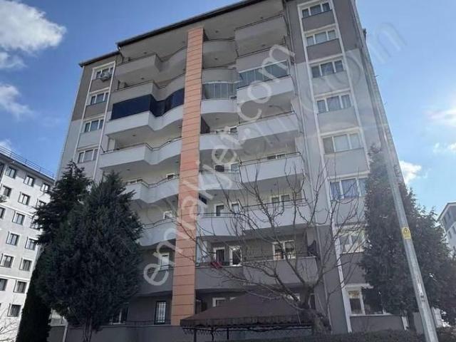 Uşak Merkez, Uşak içerisinde satılık mülk
