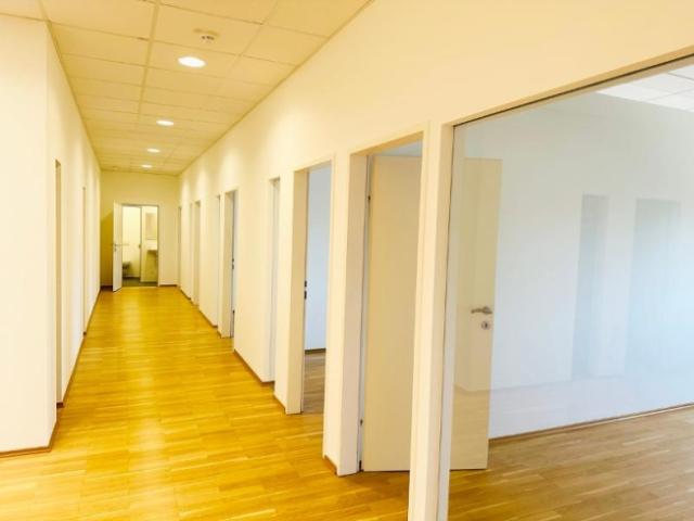 Gewerbe mieten in Floridsdorf, Wien
