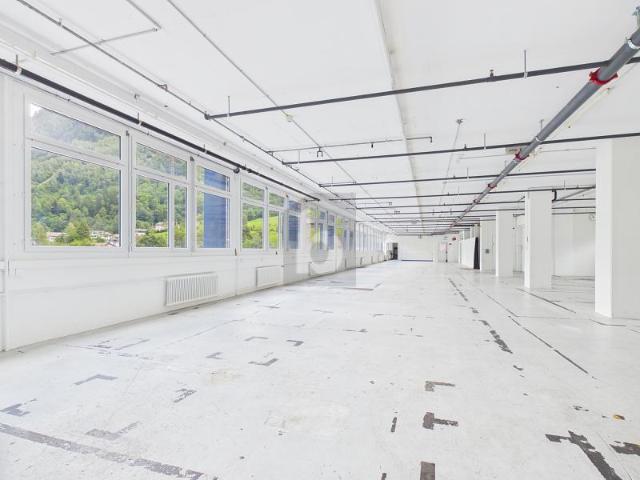 Industrie mieten in Schwanden (GL), Glarus