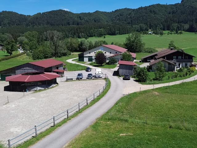 Haus kaufen in Neutrauchburg, Isny
