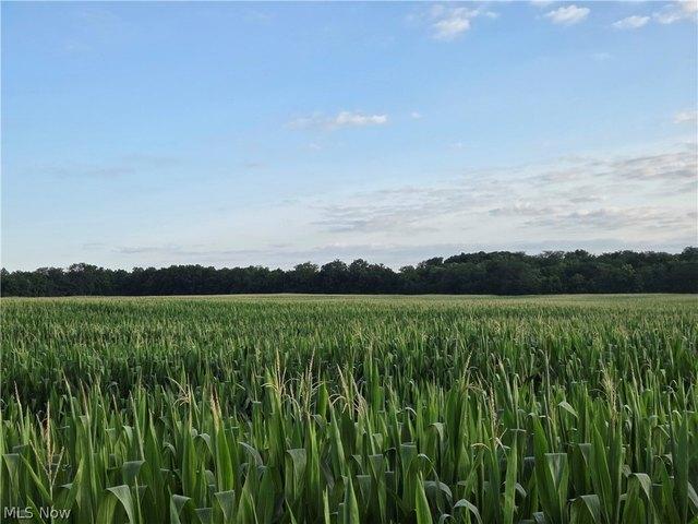 Farm for sale in La Rue, Ohio