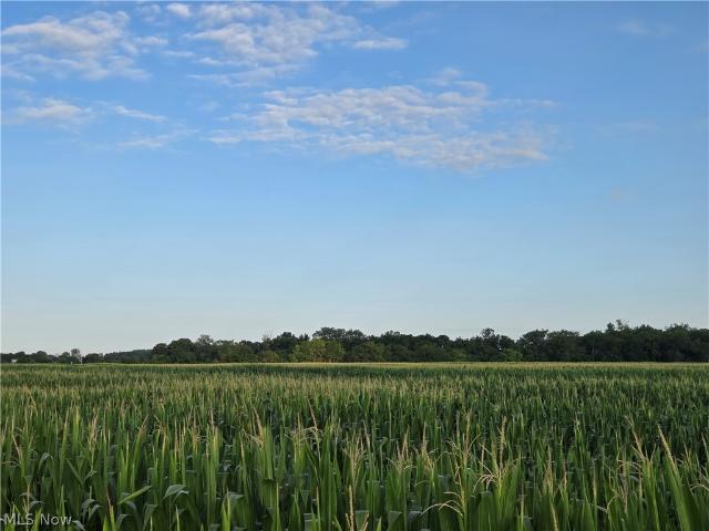 Land for sale in La Rue, Ohio