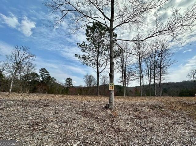 Land for sale in Mineral Bluff